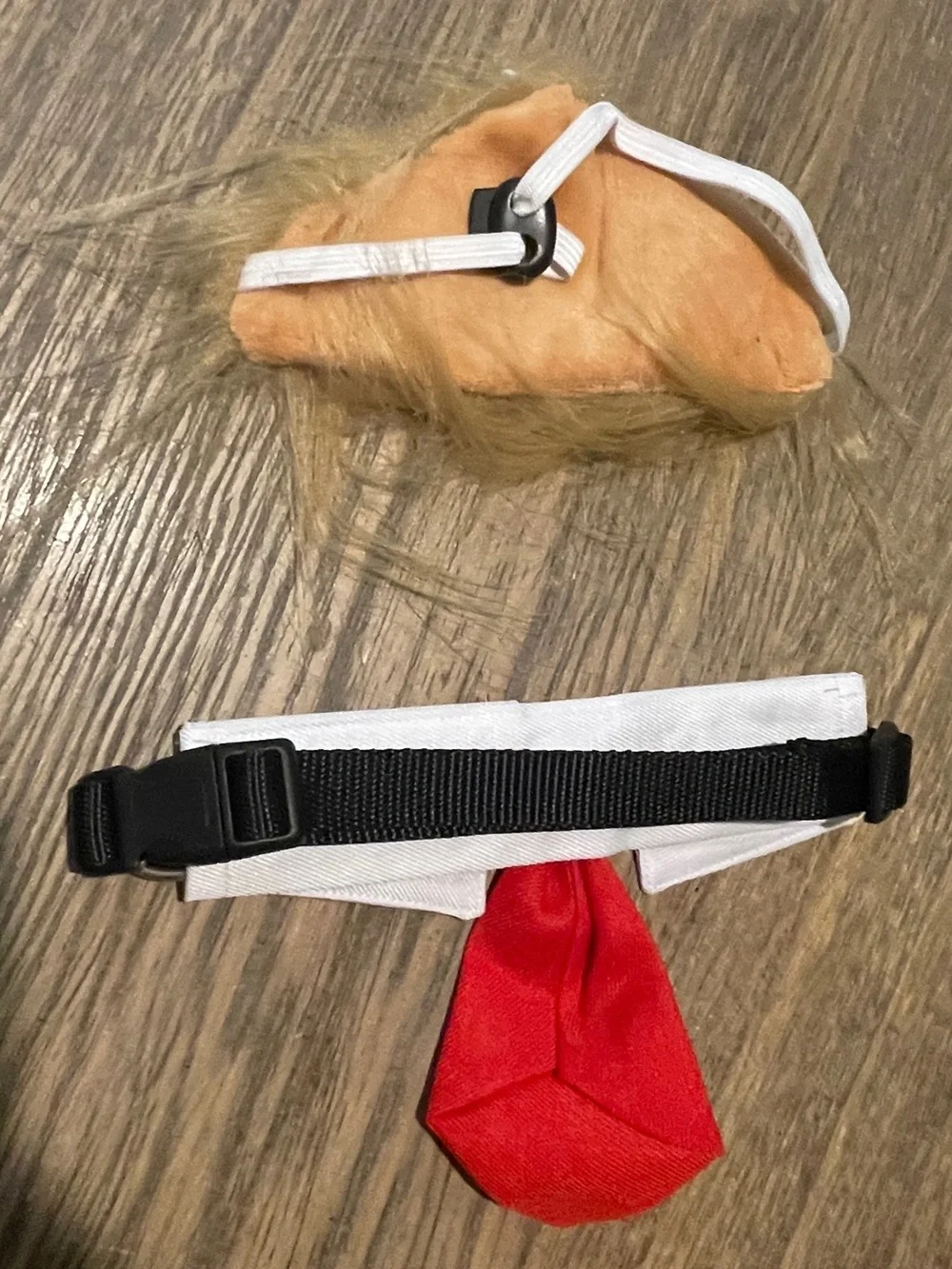 Trump Pet Costume, Wig and Tie, Size Small/Medium